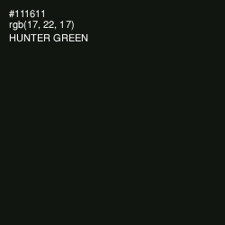#111611 - Hunter Green Color Image